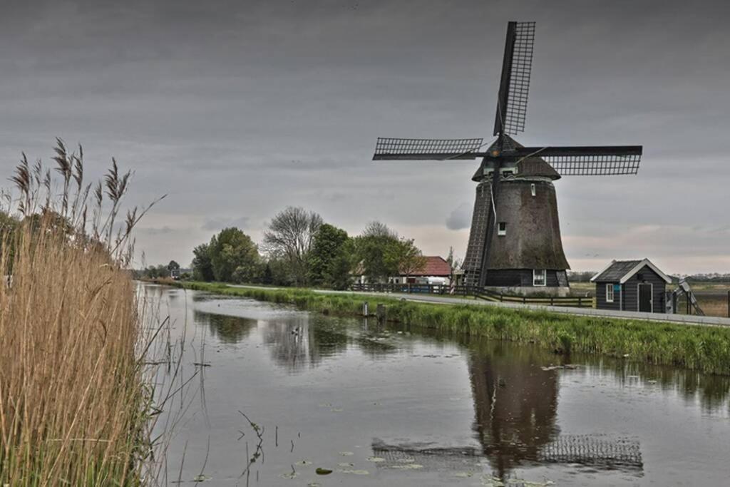Vila Tiny House Holland Oudesluis  Exteriér fotografie