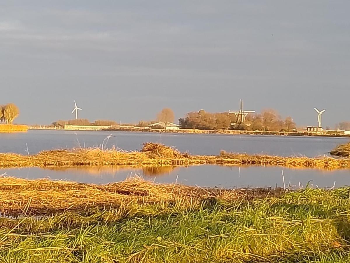 Vila Tiny House Holland Oudesluis  Exteriér fotografie